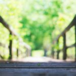 vaag blog alexander techniek